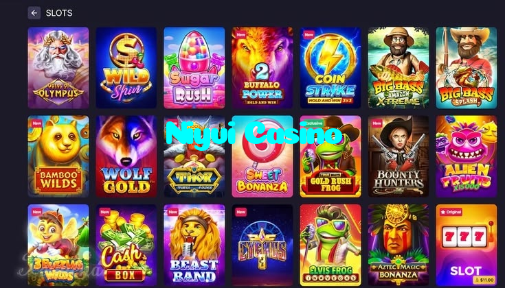 available types of Niyvi Casino bet including pre-match live express and system bets